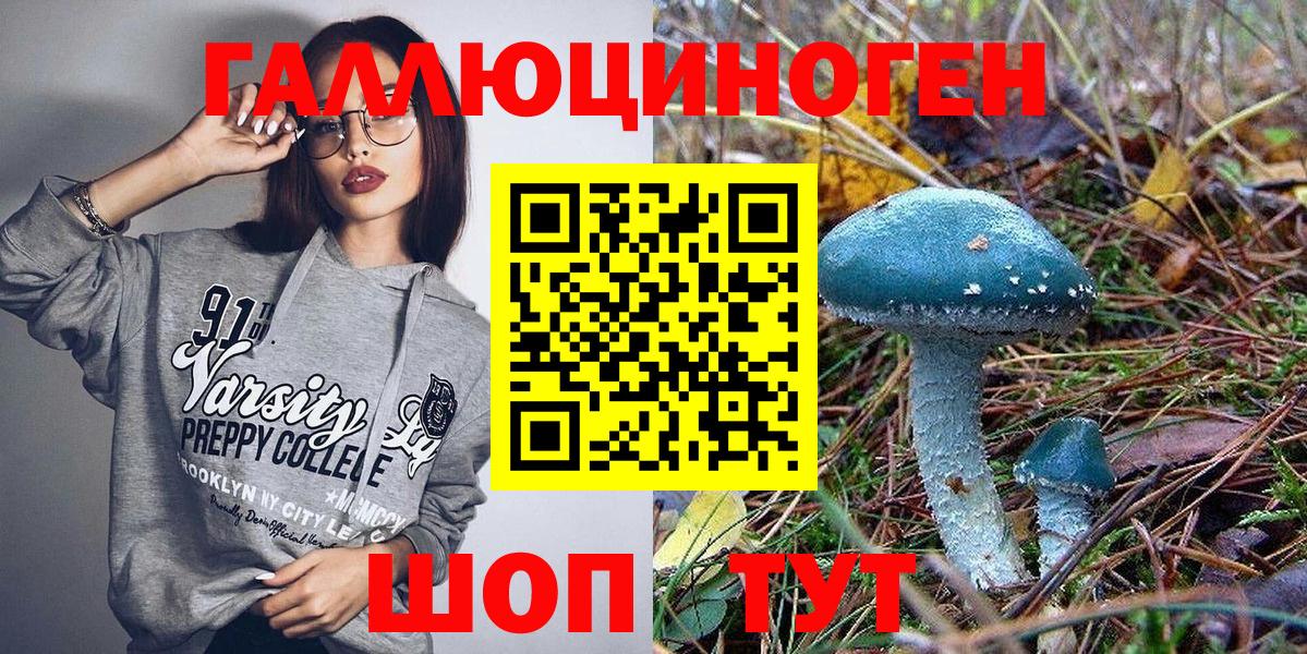 Заречный  Галлюциногенные грибы Psilocybine cubensis  Вход с VPN 