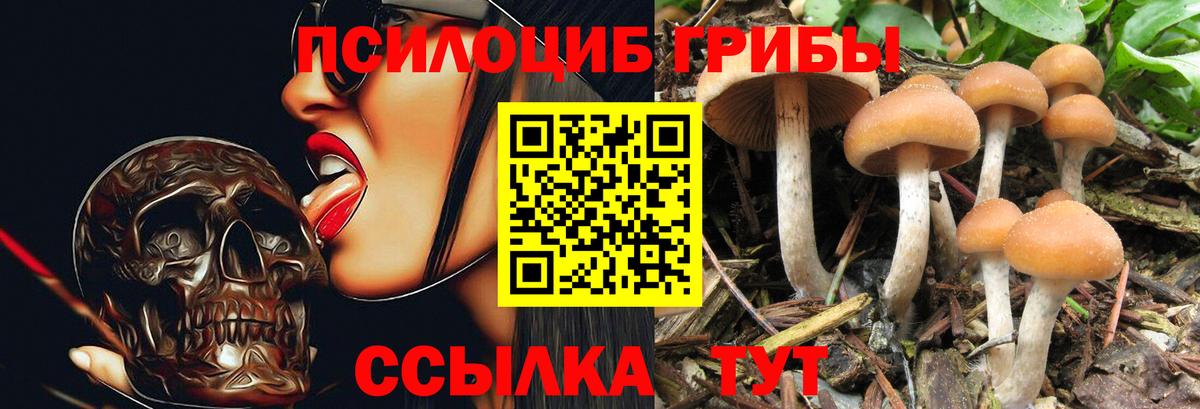 Галлюциногенные грибы Psilocybine cubensis Заречный